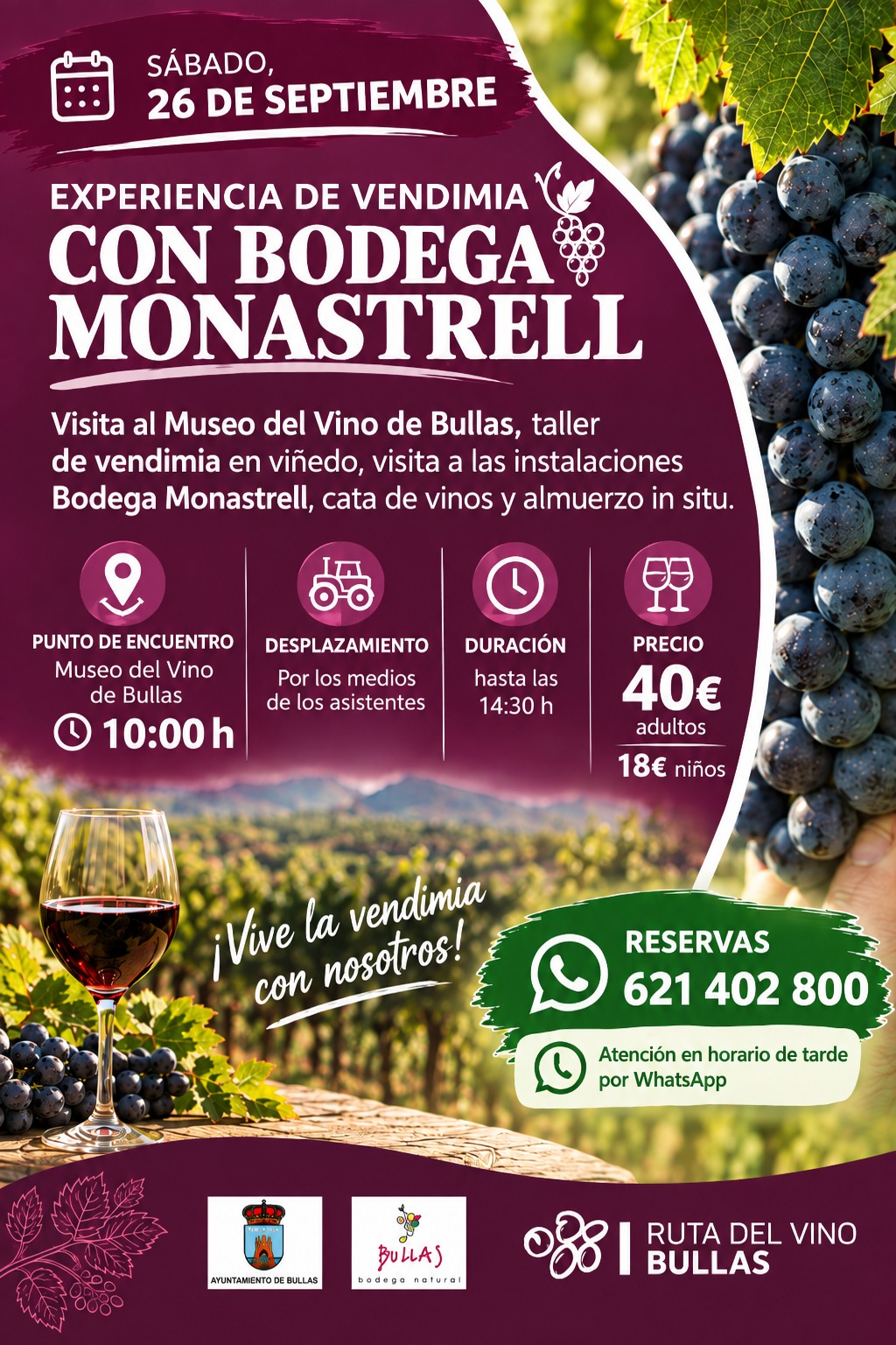 Wine Tourism Experiencia De Vendimia En Bullas Con Bodega Monastrel